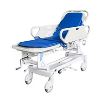 PATIENT STRETCHER TROLLEY